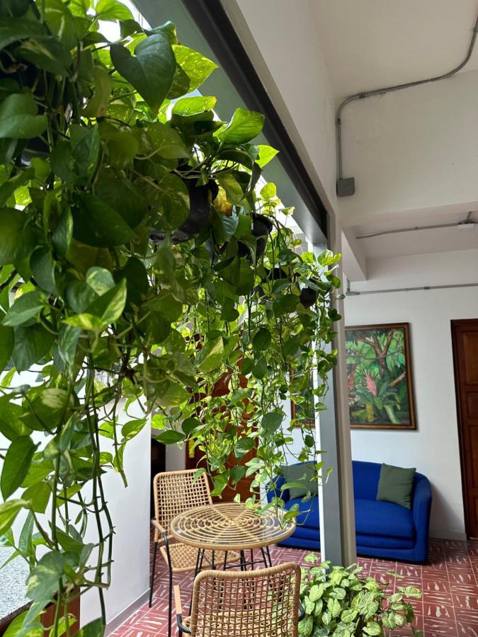 Hotel Boutique Casa Degollado Colima Ngoại thất bức ảnh