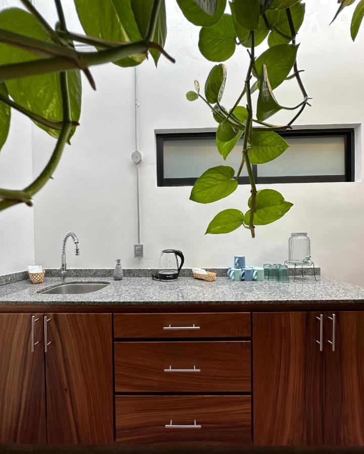 Hotel Boutique Casa Degollado Colima Ngoại thất bức ảnh